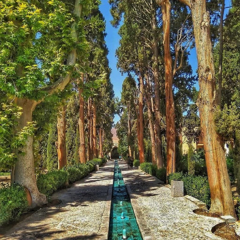 آبراهه و درختان باغ فین_4_1_3_10